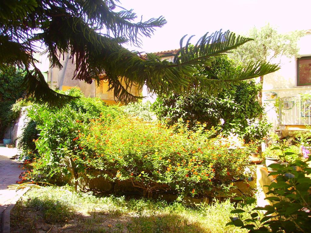L'antica Cantina Bed and breakfast