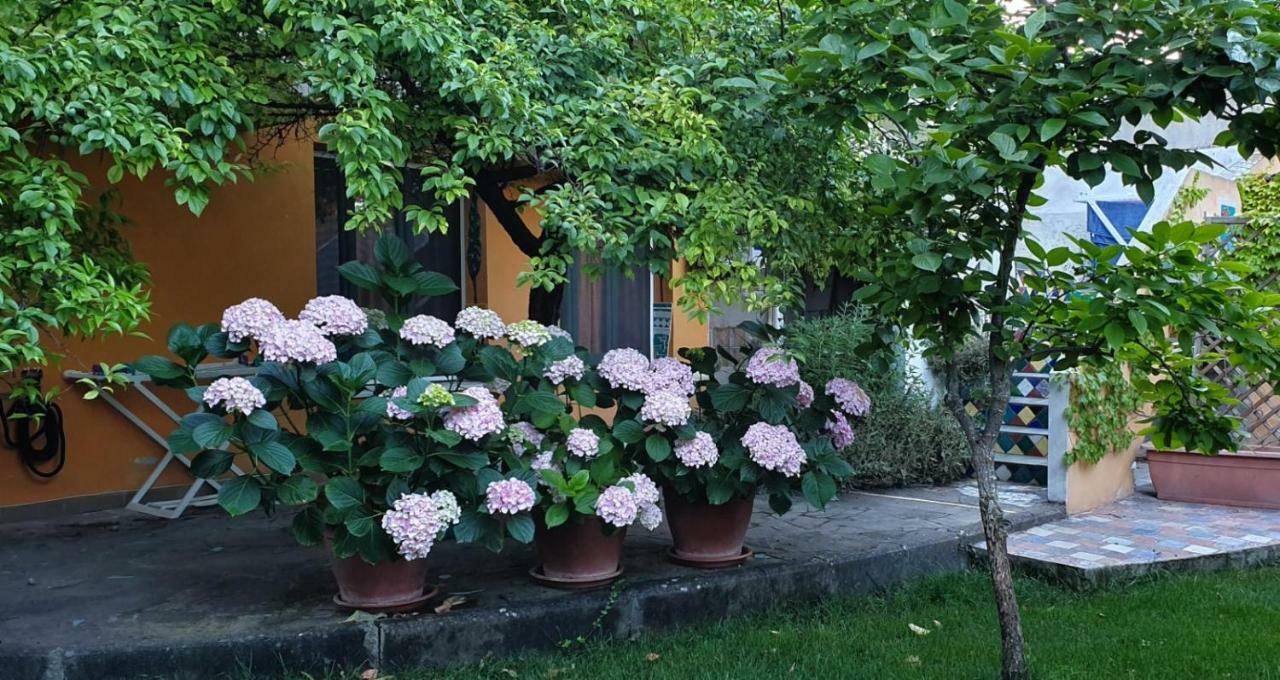 L'antica Cantina Bed and breakfast